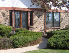 Photo of typical overgrown Juniper bushes