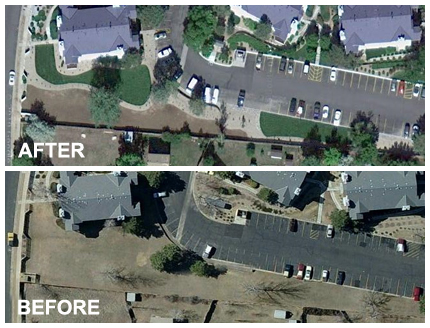 Xeriscape Renovation Before and After Aerial Photo