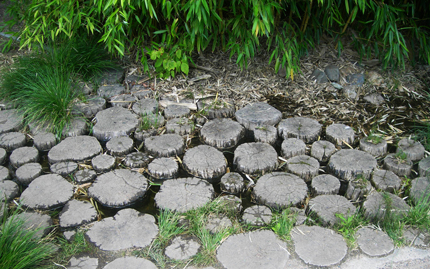 photo of a stump bridge