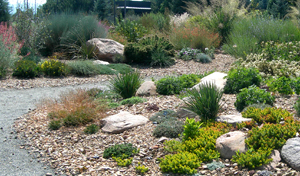 water efficient landscaping